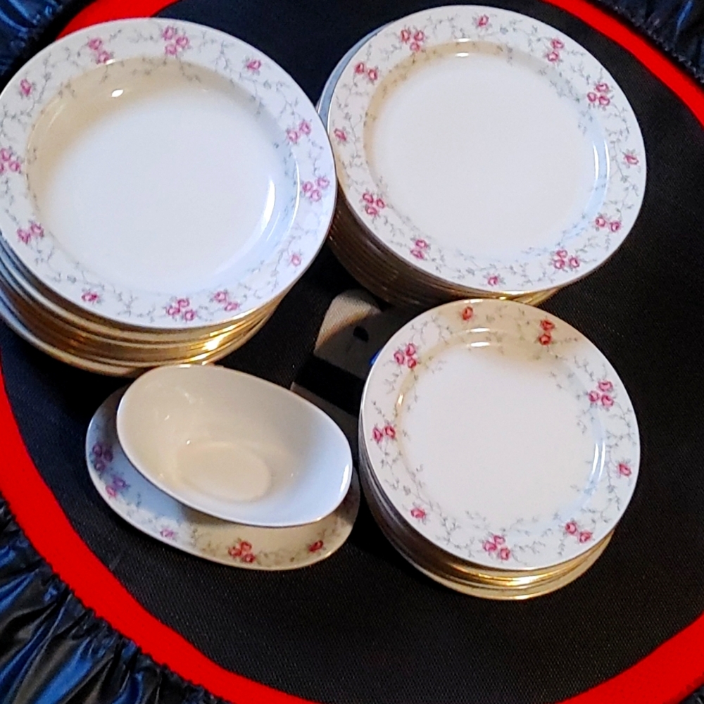 Bavaria-Schumann Arzberg BAVARIAN ROSE 7 Saucers,20 plates, 1 gravy boat Germany